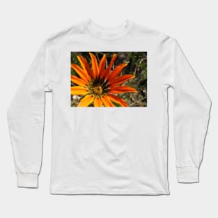 Gazania 3 Photograph Long Sleeve T-Shirt